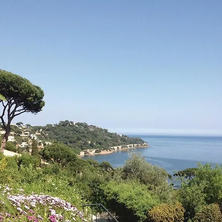 Holiday Ste Maxime Op-1459 *