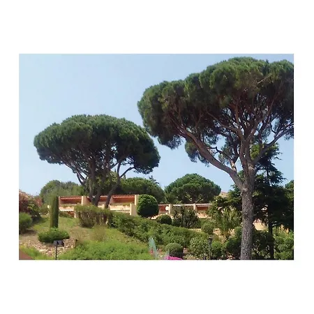 Hébergement de vacances Holiday Ste Maxime Op-1459